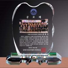 YSC0233-포토 재직기념패