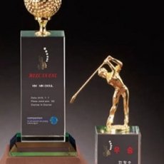 YST1634-트로피특판