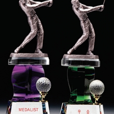 YST1702-모션트로피