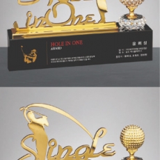 YST17611-1홀인원,2싱글