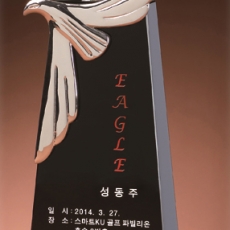 YST1762-이글트로피