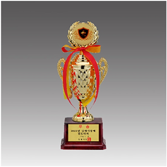 YST1921-사출트로피(대중소)