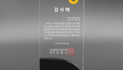 YSC0391-신형크리스탈