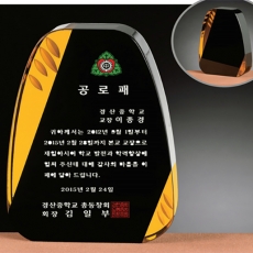 YSC0491(블랙/투명)